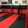 AK Athletic Equipment 20' X 10' - Roll-Up Martial Arts Flooring